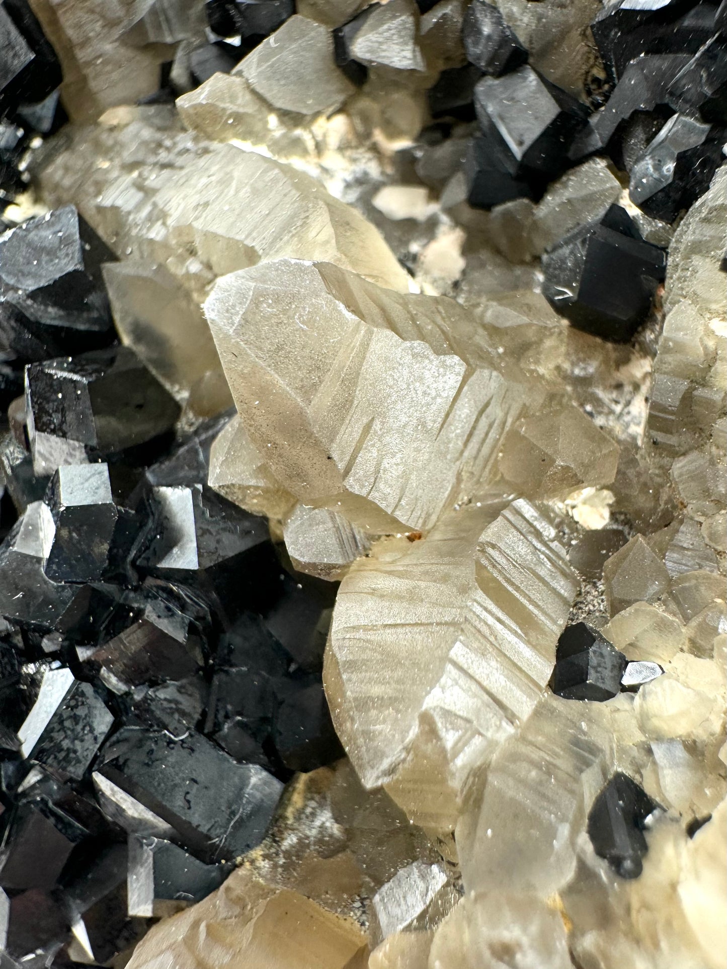 Detail of two well-formed smoky quartz crystals that appear to be twinned at an angle to one another, surrounded by smoky quartz and schorl. The smoky has light color and good horizontal striations.