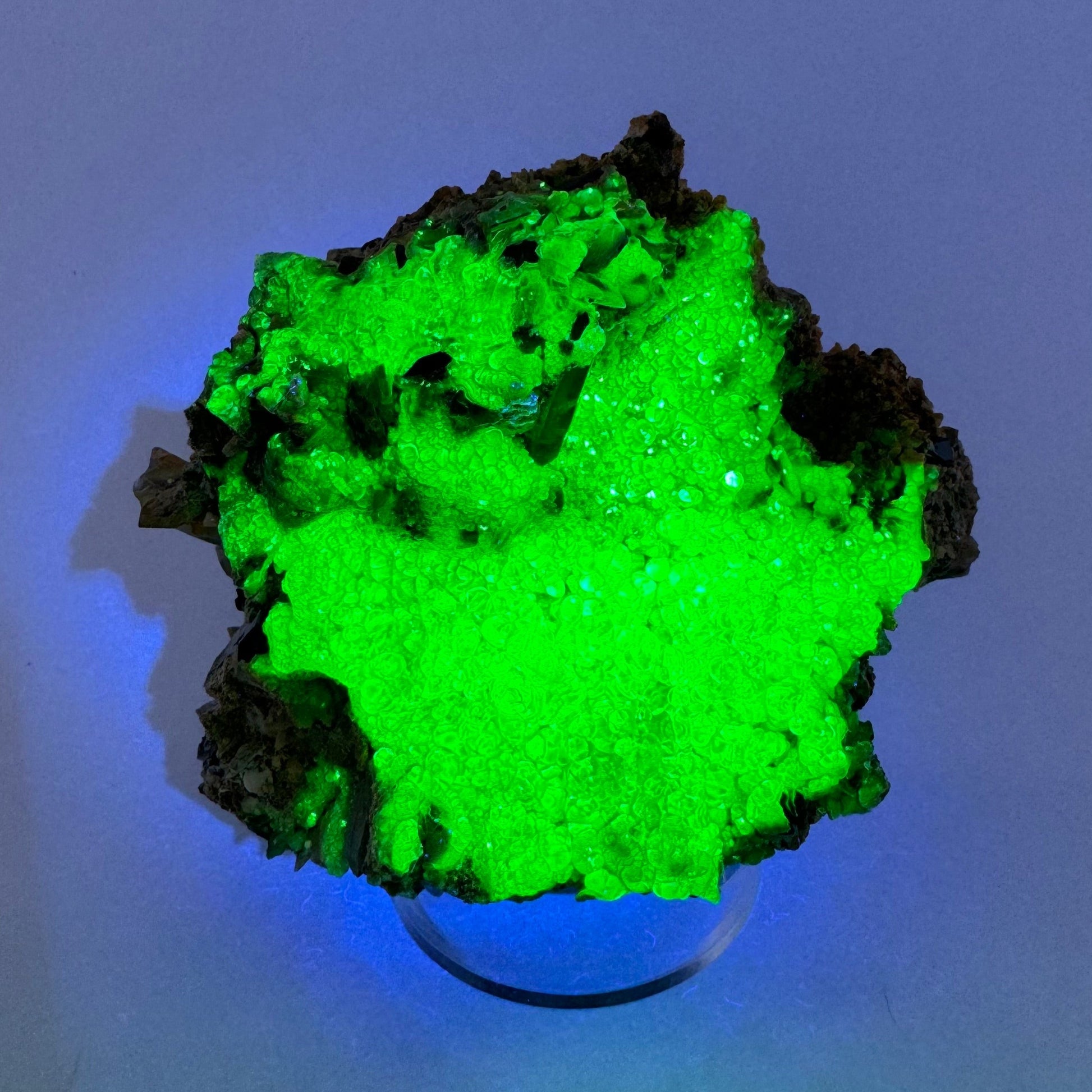 The second of three lighting images: the specimen in the same position as the previous image, in the dark and illuminated with blue-tinted UV light. The hyalite fluoresces a strong yellowish-green, and covers most of the specimen in a thick layer.