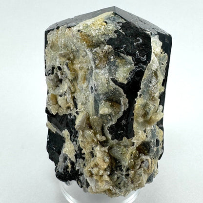 The first of two lighting images: a specimen of black tourmaline with irregular growth on this side coated with off-white hyalite.