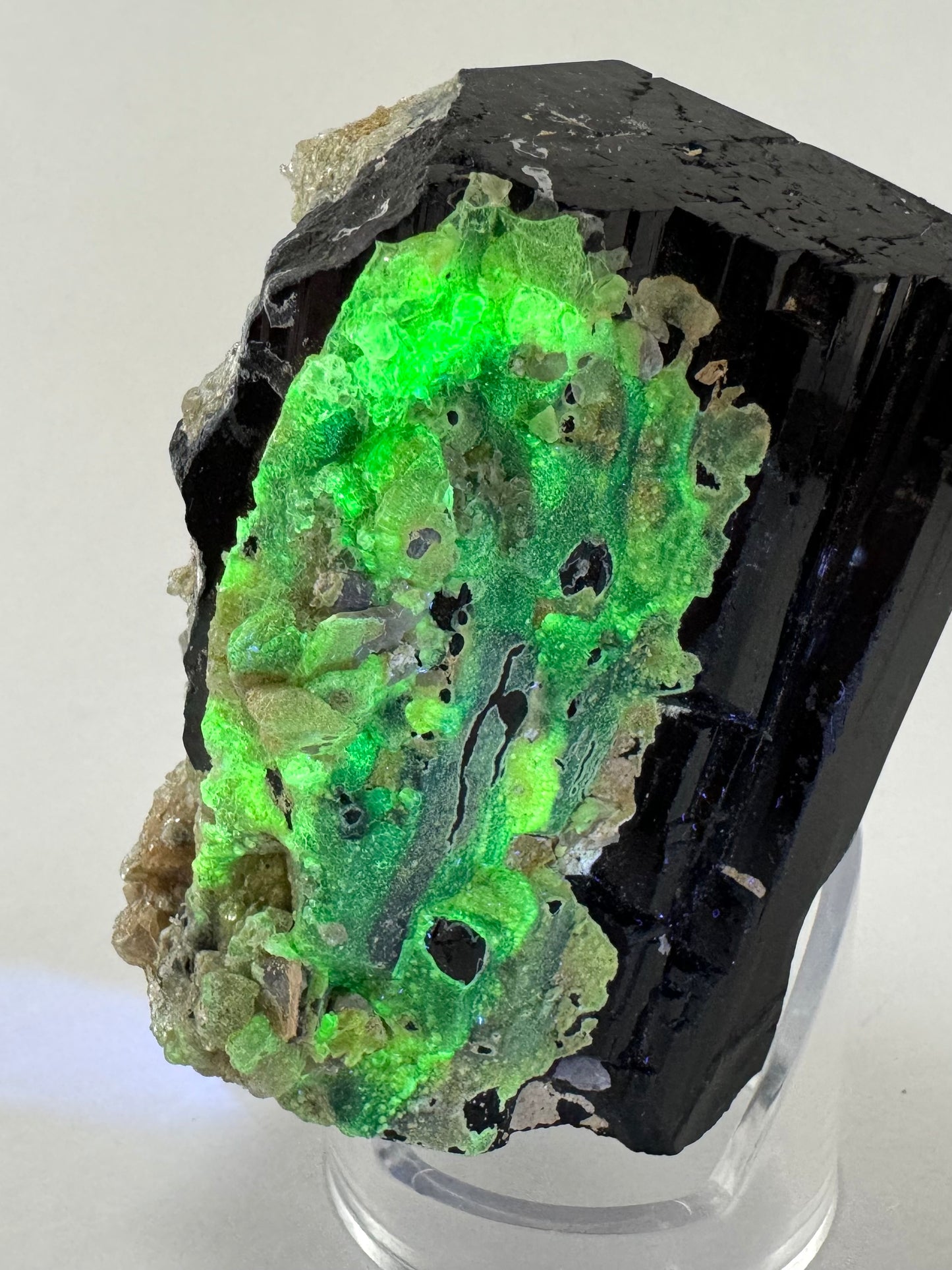 The hyalite on another side of the piece fluorescing in low light. The thicker hyalite fluoresces a brighter yellow-green.