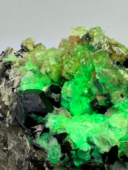 Black tourmaline in albite matrix with hyalite and minor fluorite