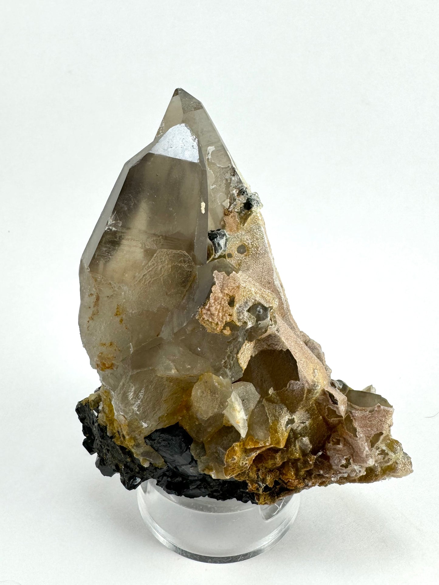 A side-view of the specimen, showing the quartz crystals are quite thick with light brown-gray coloration and good clarity. The cluster of smoky quartz is atop irregular black schorl.