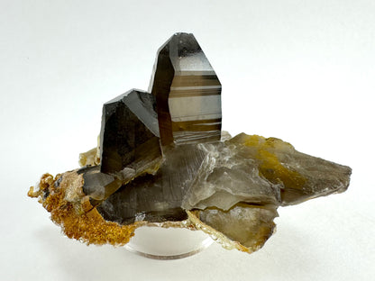 A pair of deep brown smoky quartz crystals on a flat base of a partial smoky quartz crystal on its side and shattered in areas. The largest point has excellent striations and wavy angles to the broadest face.