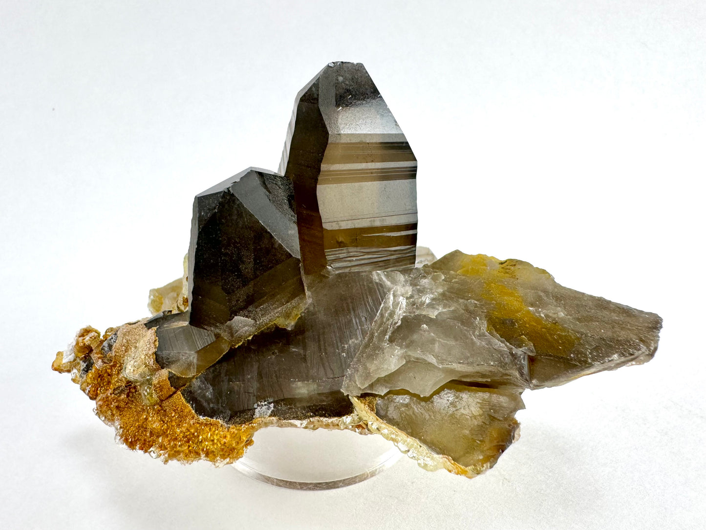 A pair of deep brown smoky quartz crystals on a flat base of a partial smoky quartz crystal on its side and shattered in areas. The largest point has excellent striations and wavy angles to the broadest face.