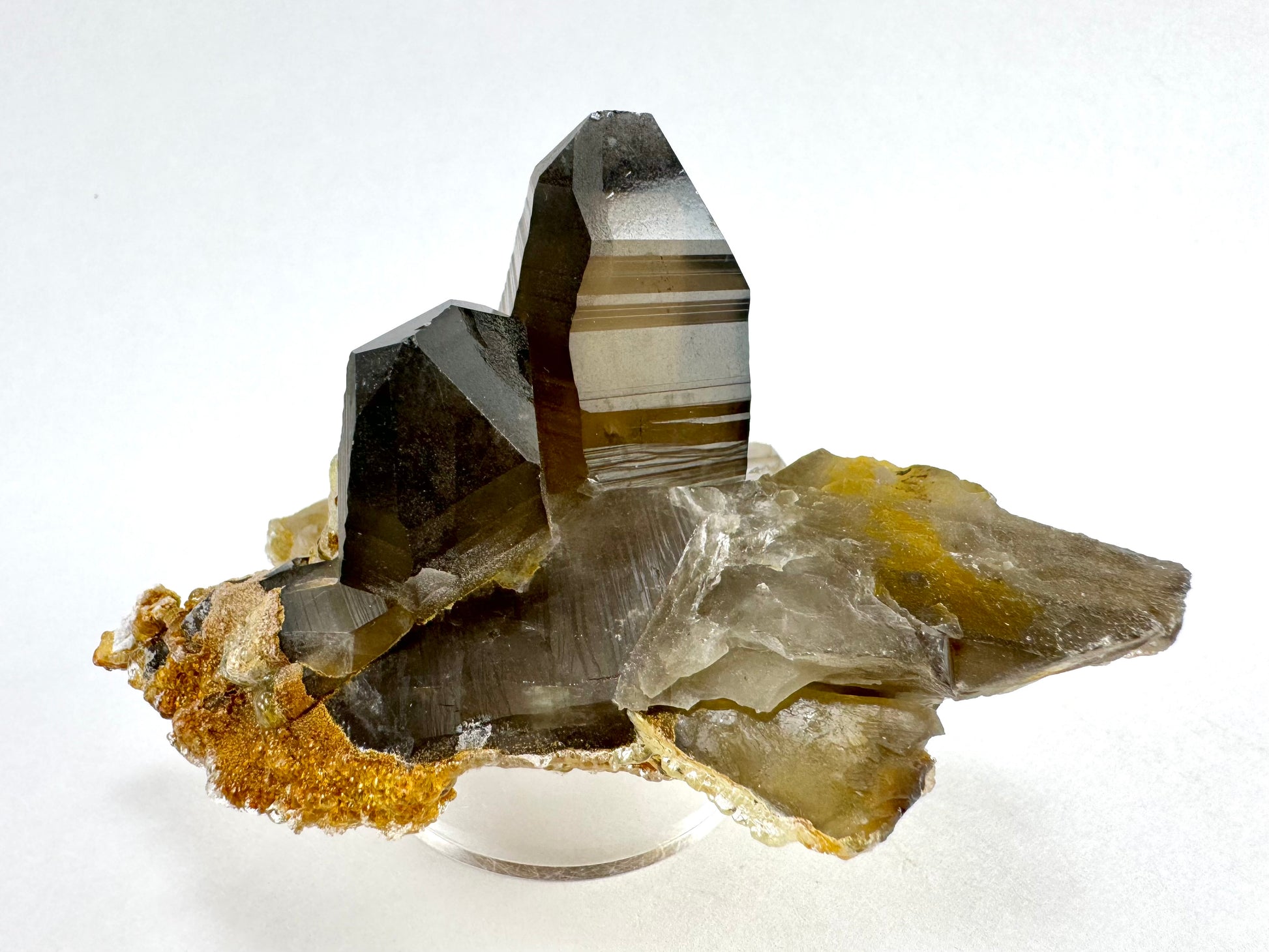 A pair of deep brown smoky quartz crystals on a flat base of a partial smoky quartz crystal on its side and shattered in areas. The largest point has excellent striations and wavy angles to the broadest face.