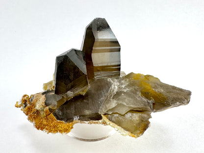 A pair of deep brown smoky quartz crystals on a flat base of a partial smoky quartz crystal on its side and shattered in areas. The largest point has excellent striations and wavy angles to the broadest face.