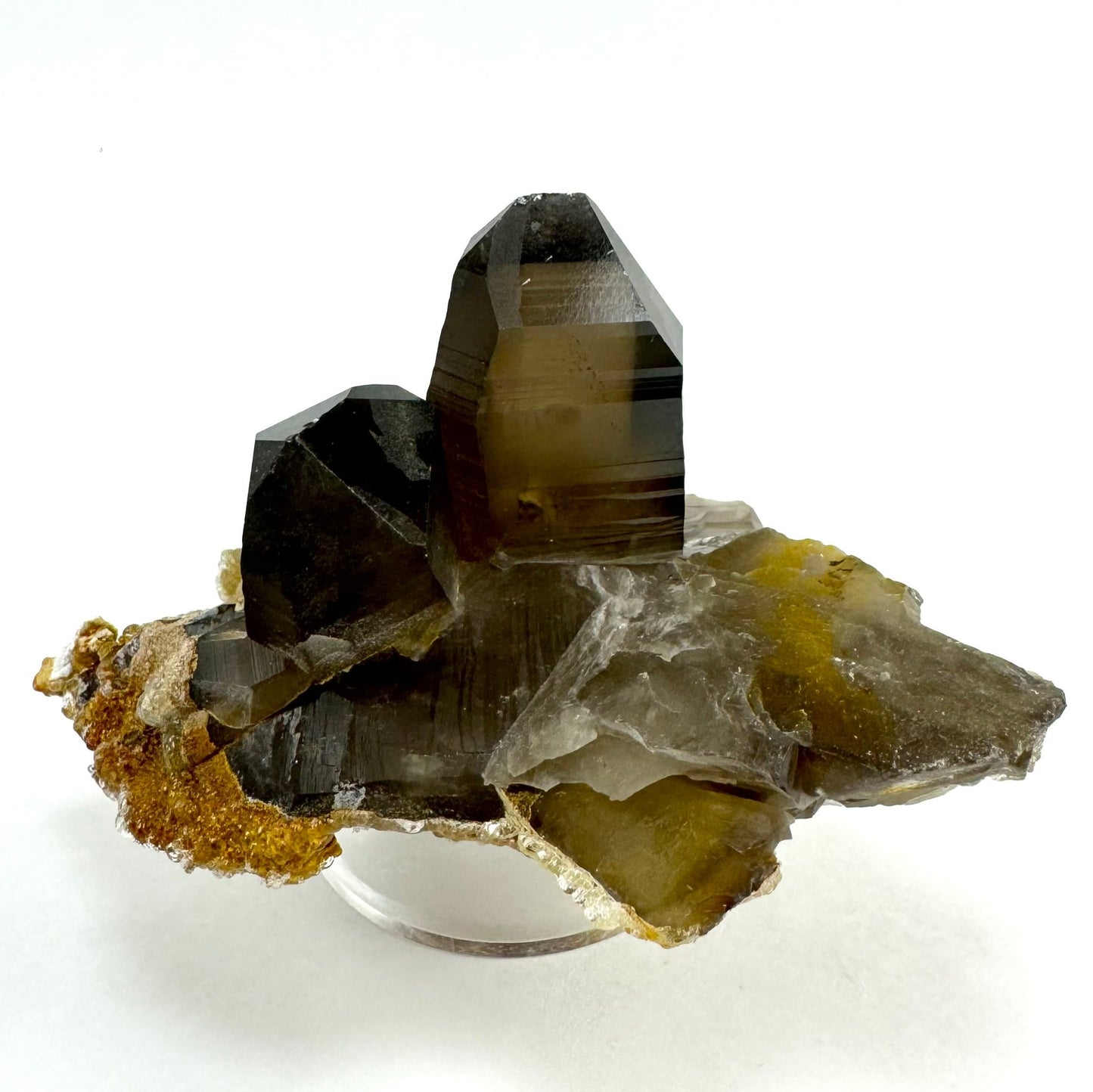 The front of the specimen angled to show the clarity and color of the main points, a dark brown color with good clarity. The surface of a face of the tip has an almost scaly texture.