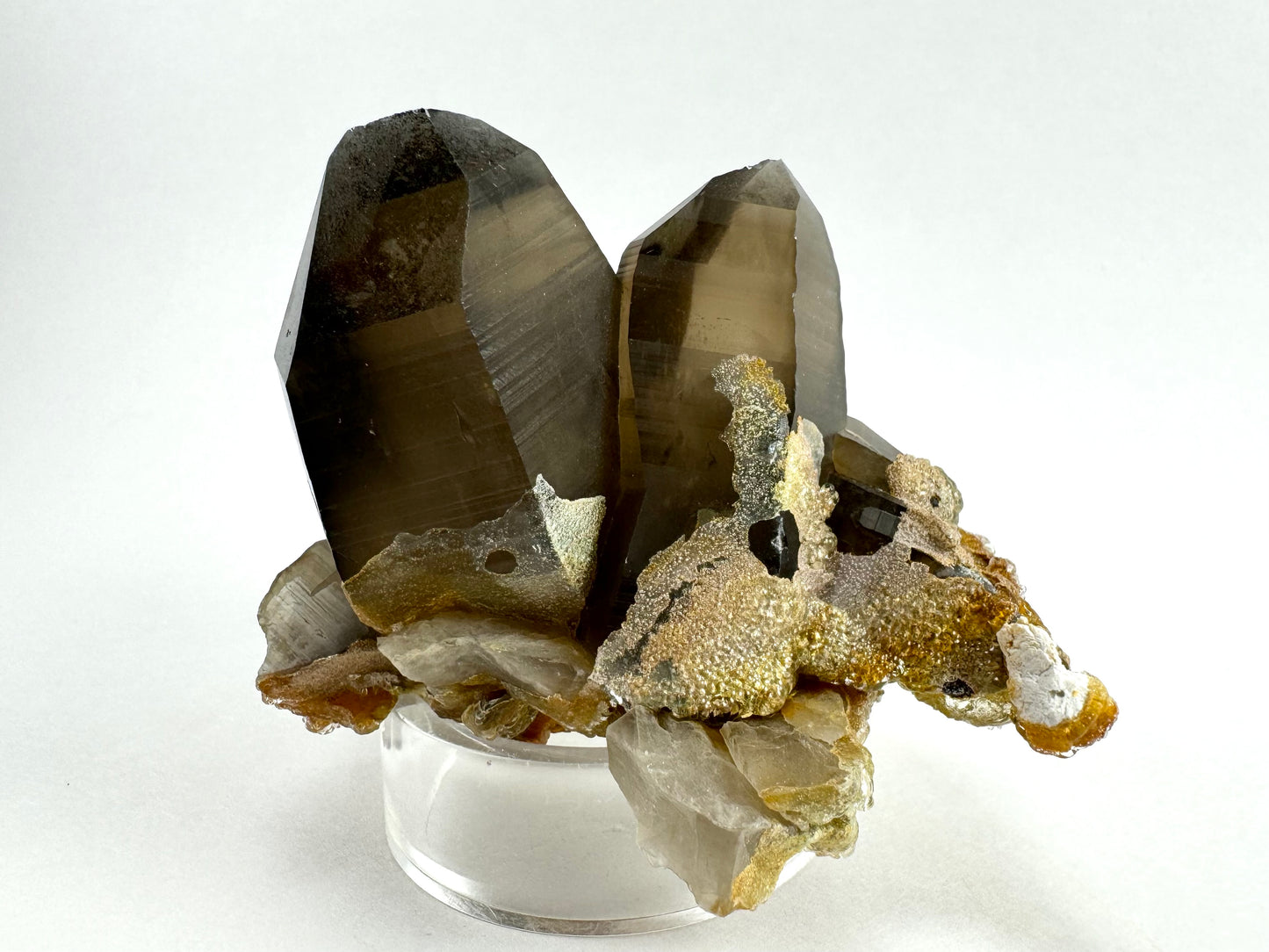 One end of the specimen, with the base of the two points coated in hyalite. The righthand smoky quartz crystal has a curved face.