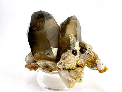 One end of the specimen, with the base of the two points coated in hyalite. The righthand smoky quartz crystal has a curved face.