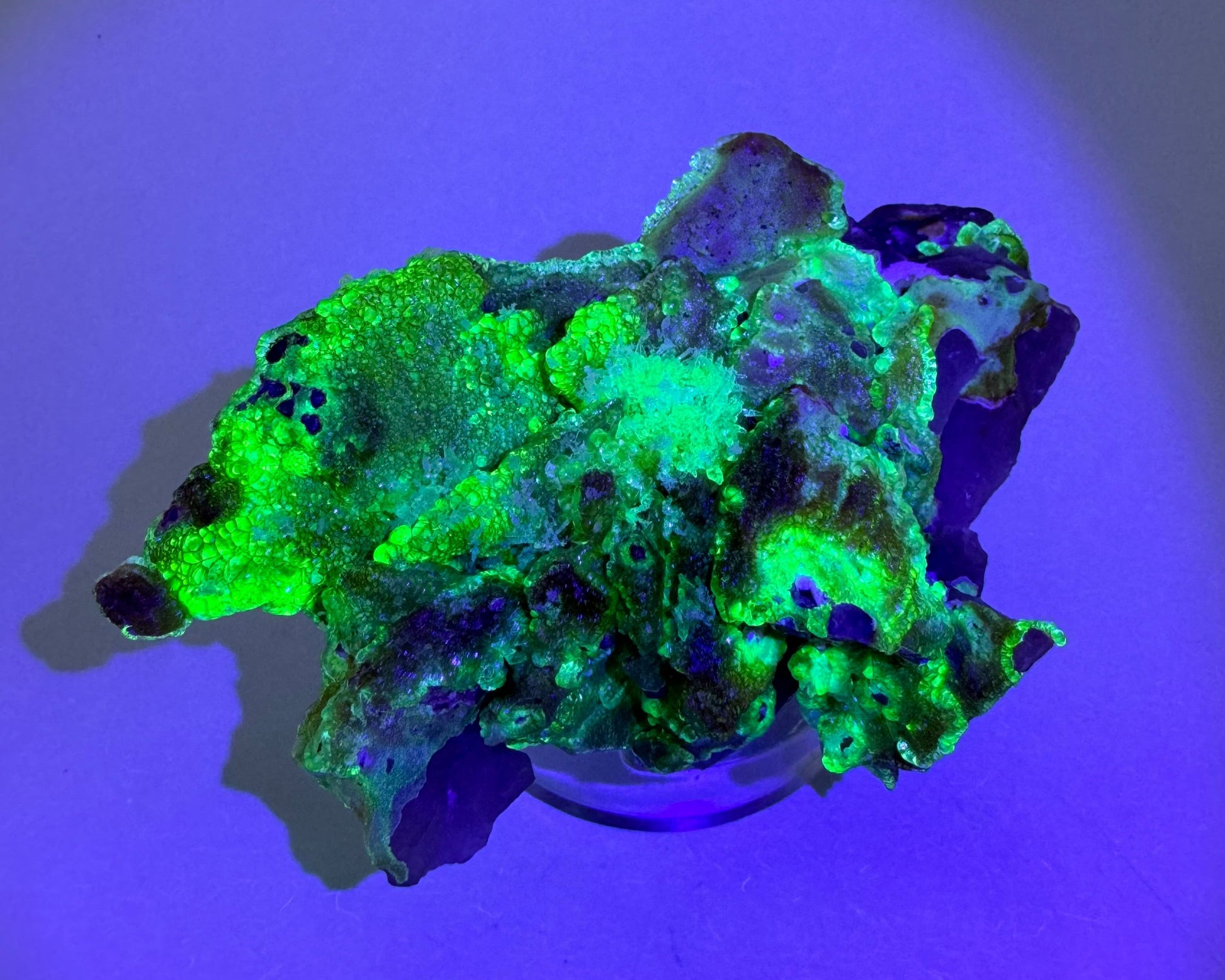 The rough irregular underside of the specimen in the dark, mostly coated with hyalite fluorescing a bright yellow-green, with overtones of icy blue in the thinner hyalite.