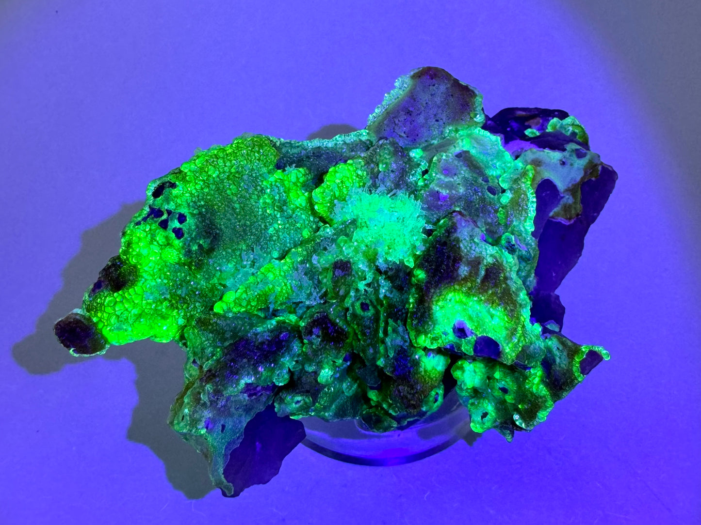 The rough irregular underside of the specimen in the dark, mostly coated with hyalite fluorescing a bright yellow-green, with overtones of icy blue in the thinner hyalite.