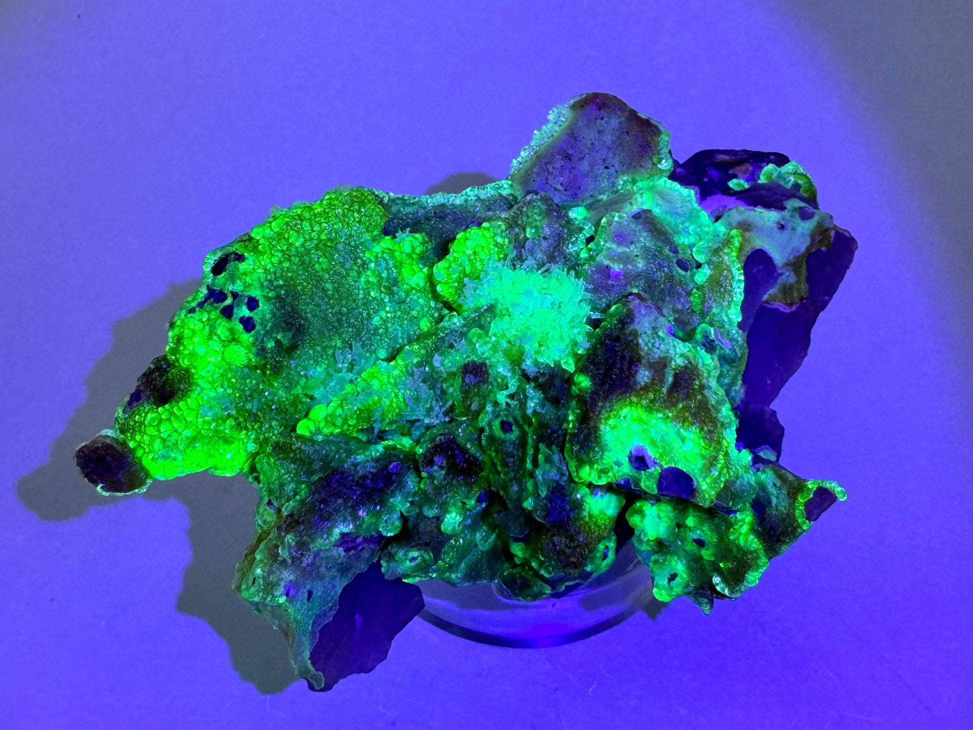 The rough irregular underside of the specimen in the dark, mostly coated with hyalite fluorescing a bright yellow-green, with overtones of icy blue in the thinner hyalite.