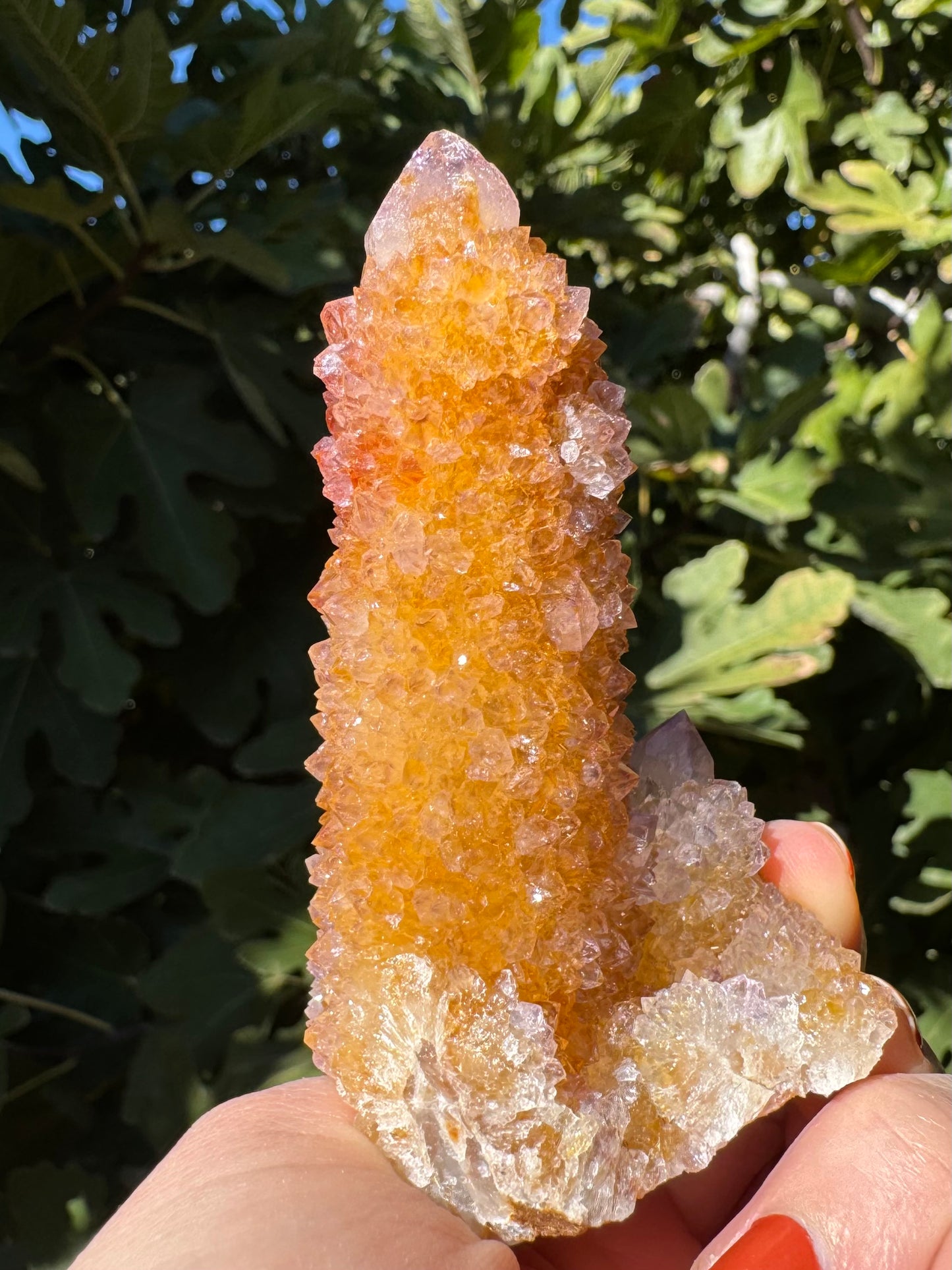 A side of the cactus quartz almost entirely golden yellow with iron staining