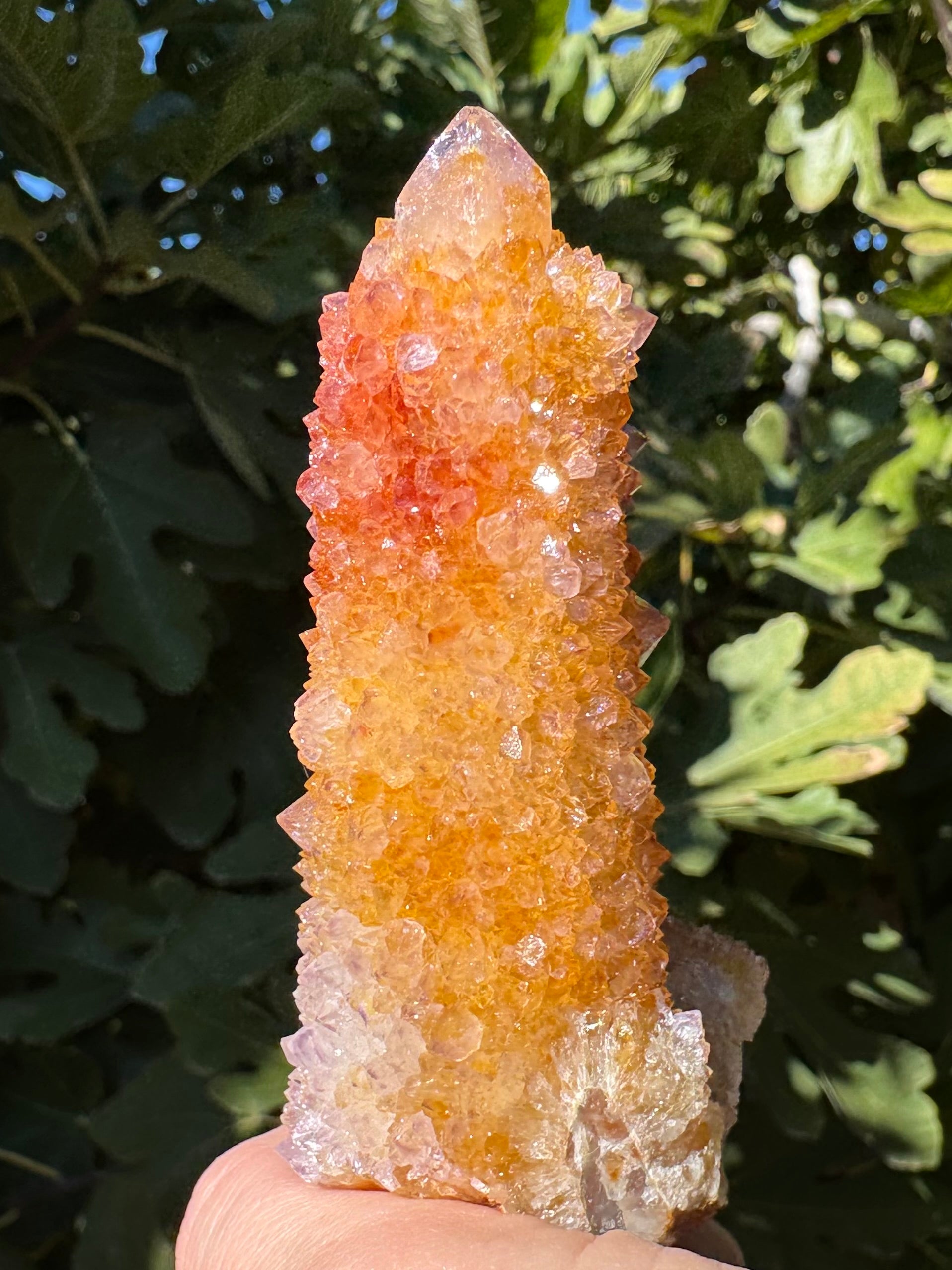 A side of the point mostly golden-yellow with the red patch in the upper left. The large druzy crystals glitter in the sun and show light purple on the tips