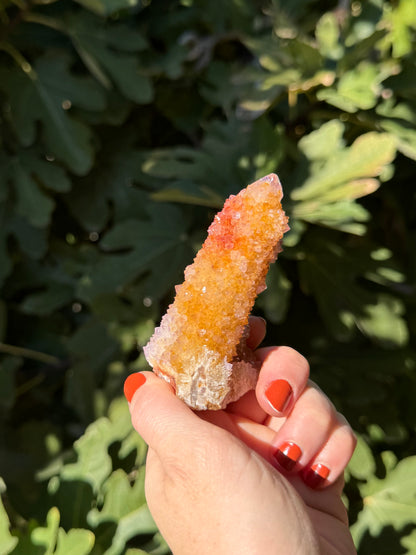 A cactus quartz point with vibrant red-orange and golden yellow iron staining fading into lightly purple-tinted quartz.