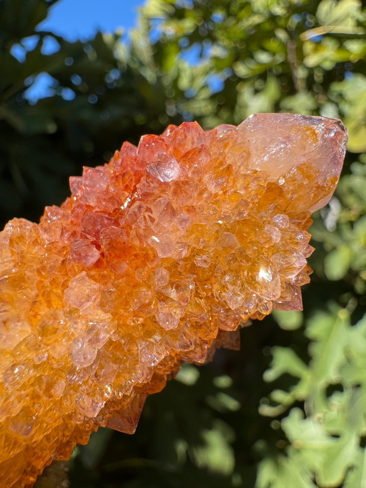 Detail of the tip of a point, showing the cactus quartz growth has large chunky crystals. The vibrant red and yellow iron staining appears under the crystals, and there is a light purple tint visible in the tip of larger crystals.