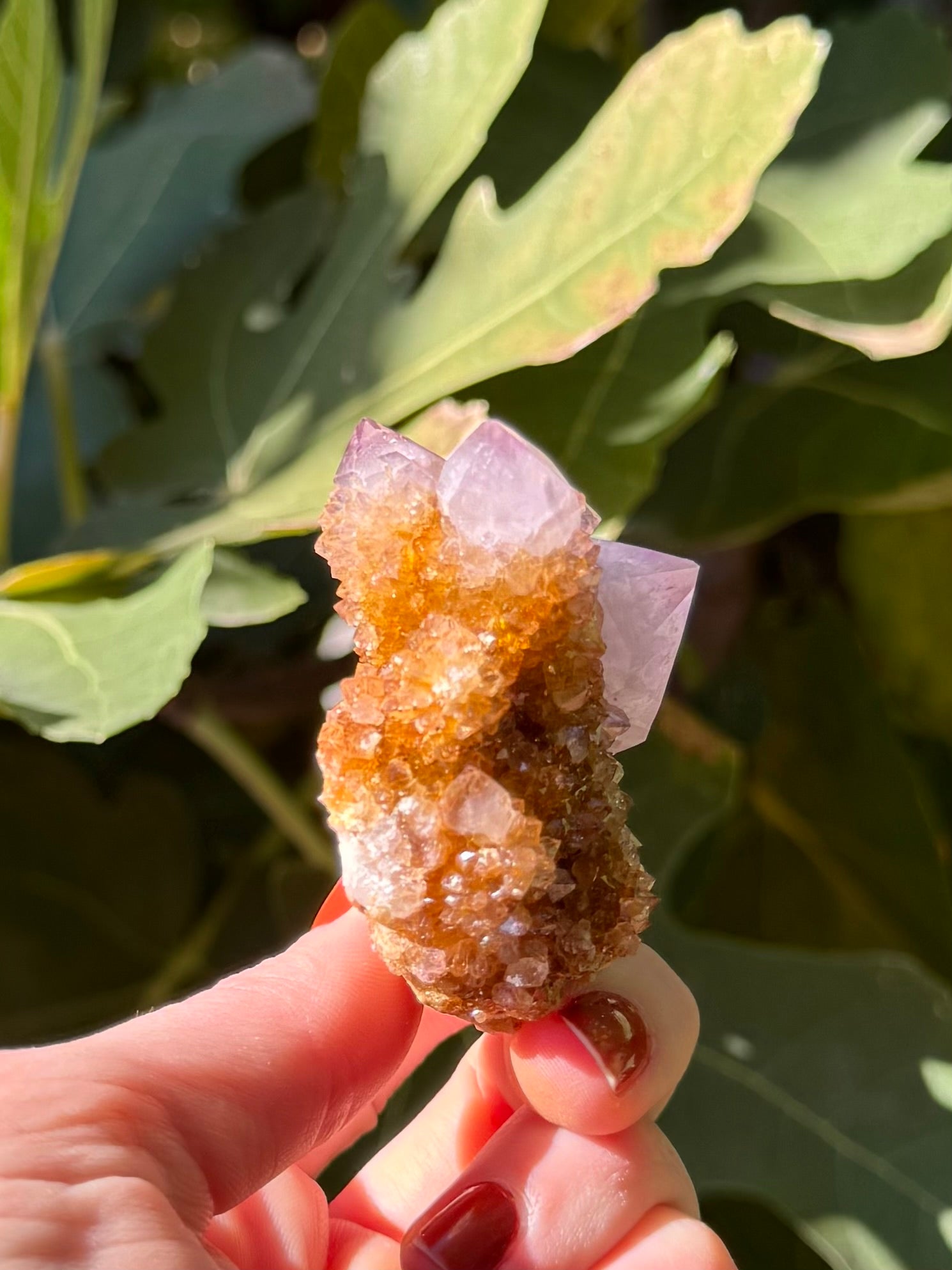 A more distant view of the specimen showing scale, and showing the colors from a distance. The purple of the points is easier to see, surrounded in deep golden orange druzy