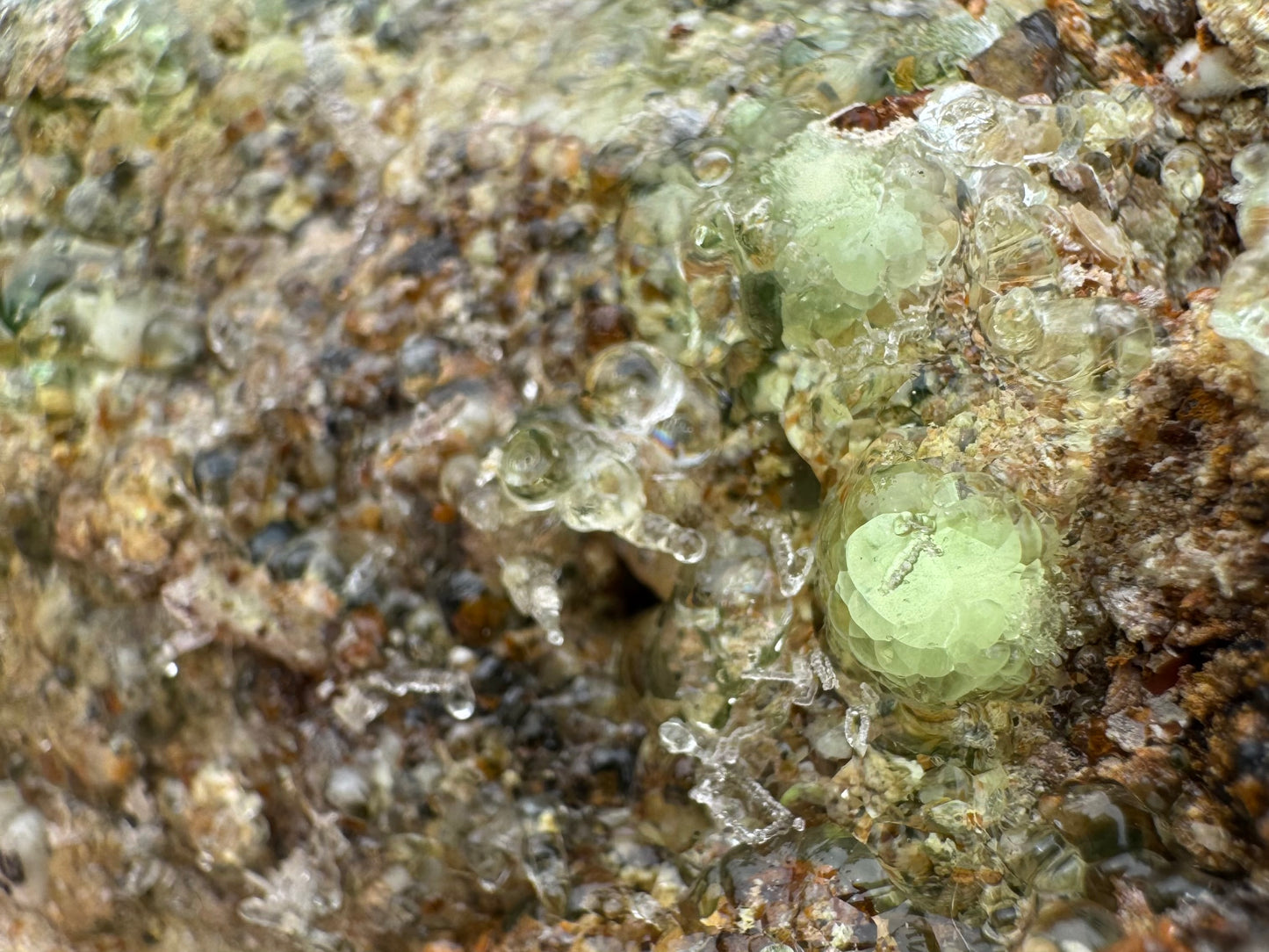 Detail of the hyalite "snowballs" in indirect sunlight, appearing as if lightly glowing greenish from within.