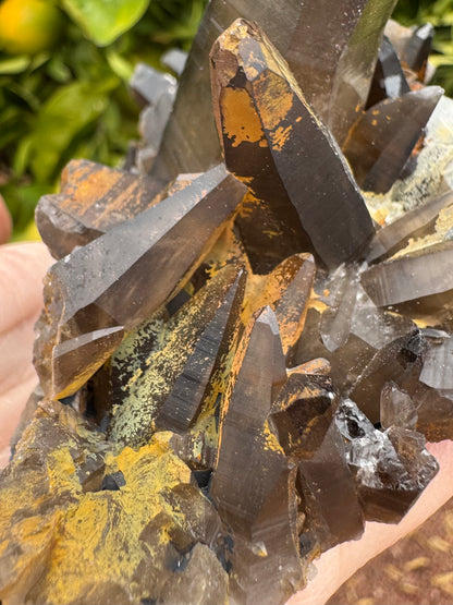 Detail of a cluster of small spindle-like smoky quartz crystals with interesting rust-orange surface coating.