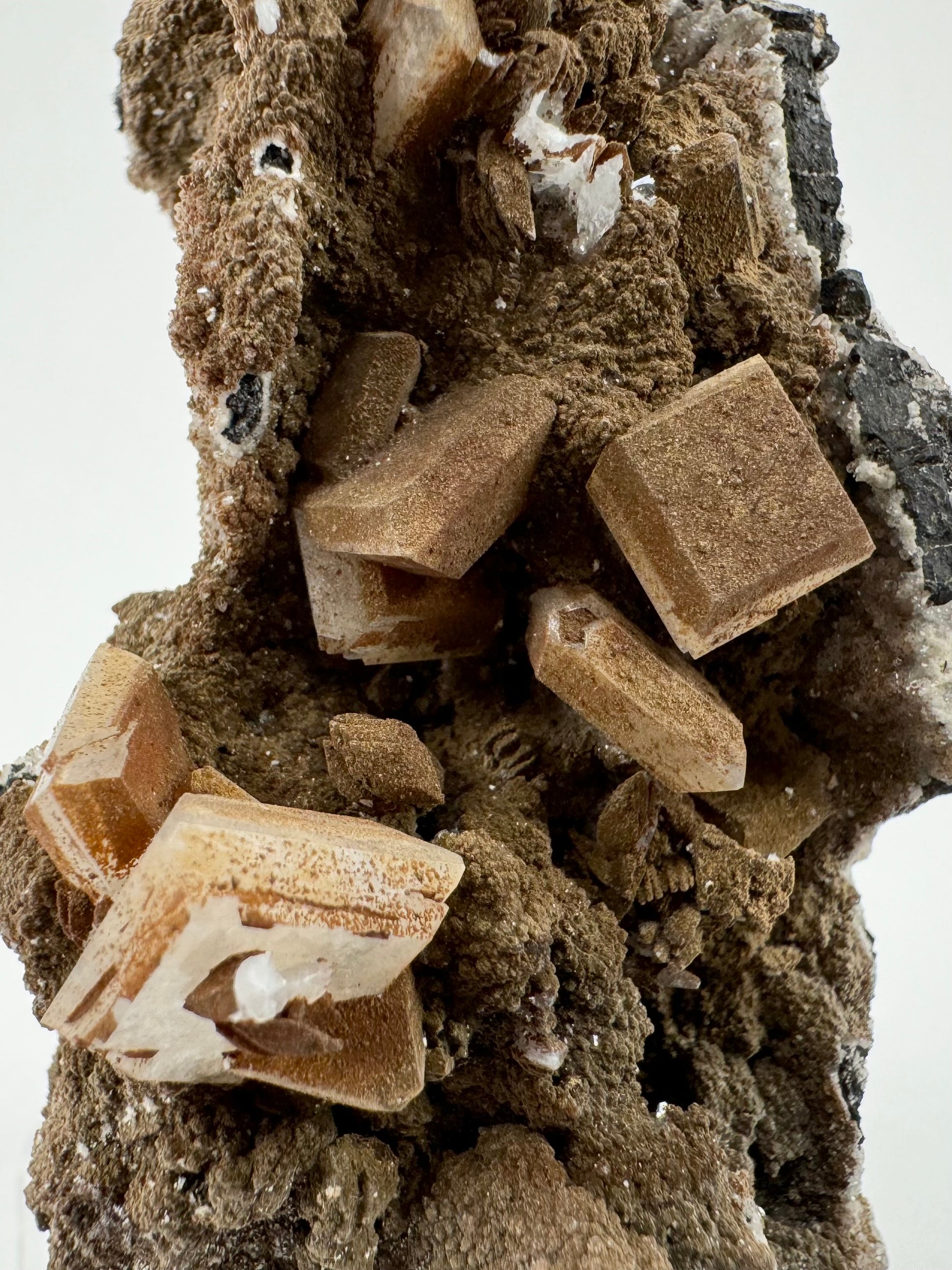 Detail of the specimen, showing nine tabular crystals including two that are intersecting near the bottom. The brown coating has a grain appearance, matte with slight glitter like sand, and is formed in small round bumps on the matrix.