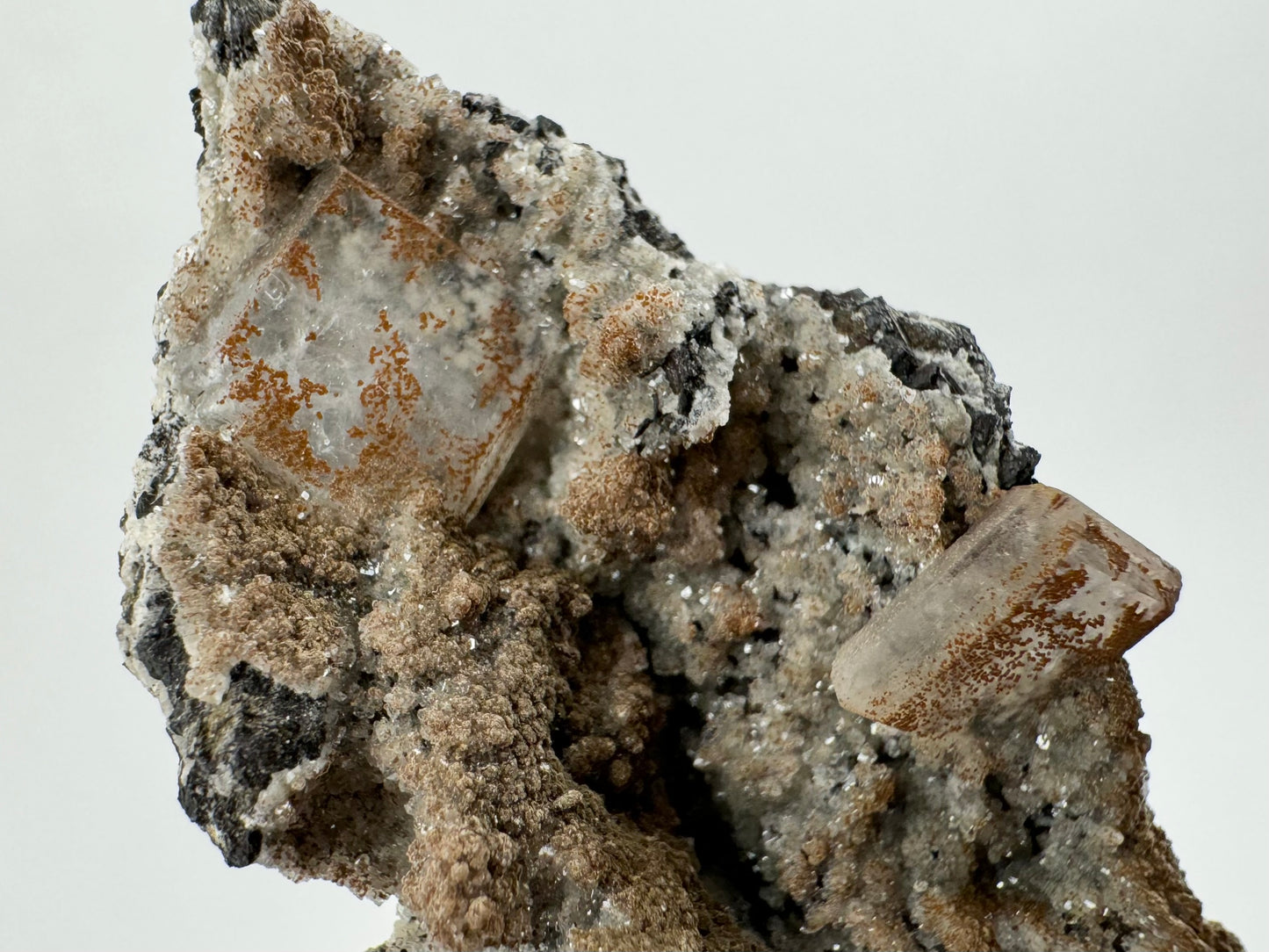 Detail of one end of the specimen with two tabular square crystals with small brown spots on their surfaces. The top crystal has good clarity, showing the matrix and druzy beneath it clearly