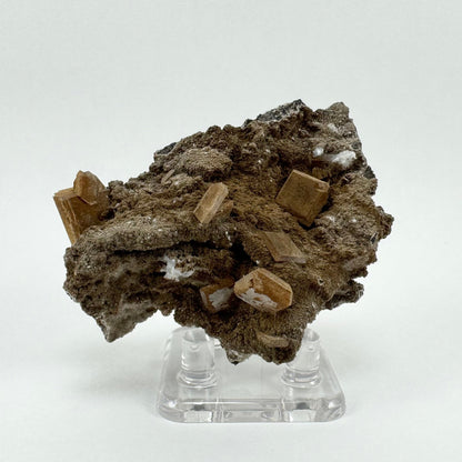 A mineral specimen with a half dozen square tabular hydroxyapophyllite crystals, nearly entirely coated with a brown mineral. They are on a rough matrix sprinkled also largely covered by the brown mineral.