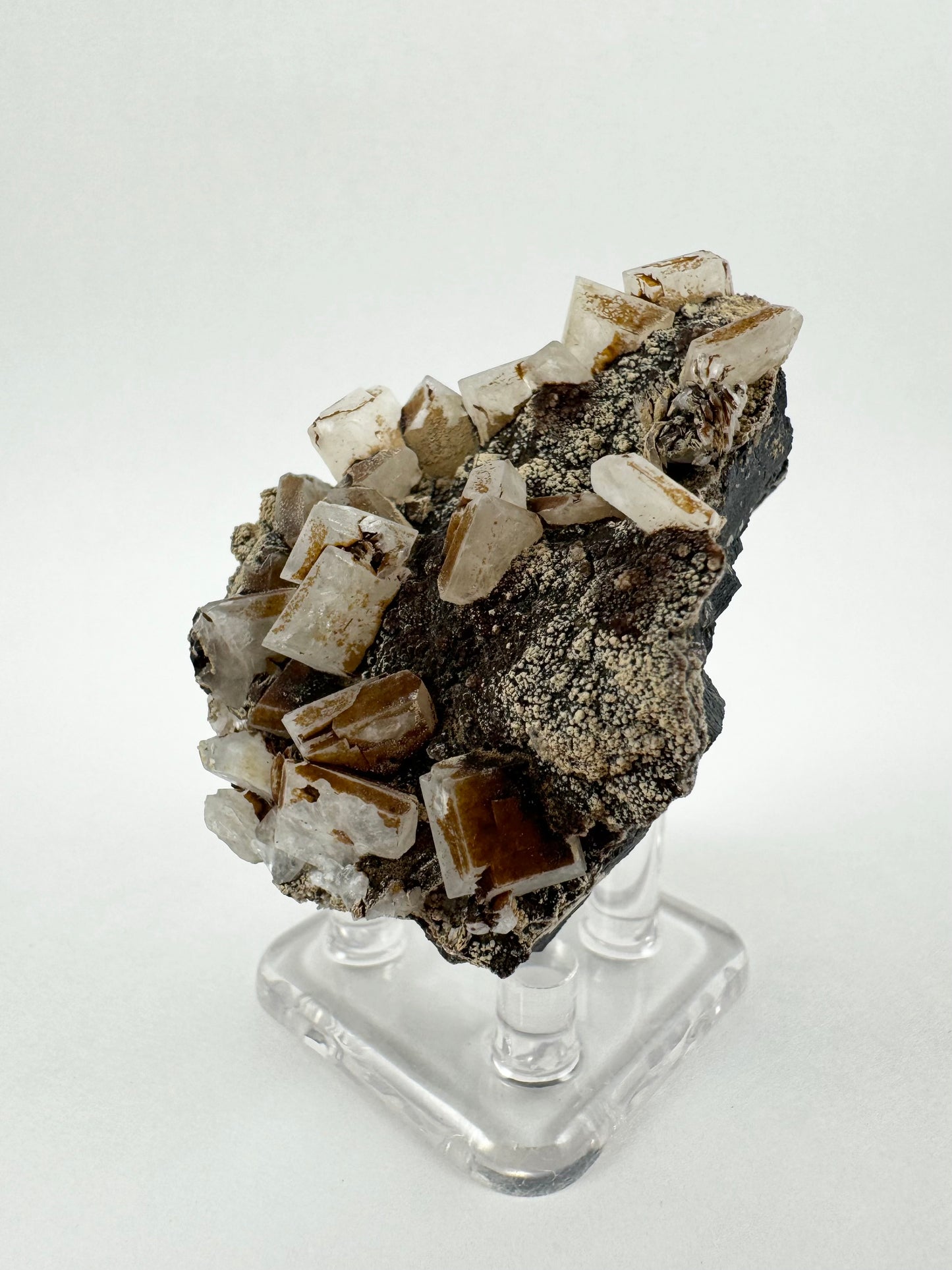 Another angle of the mineral, with the side covered in crystals on the left so they are highlighted in profile against the white background. They are near-white and translucent. The piece is heavy with tabular crystals.