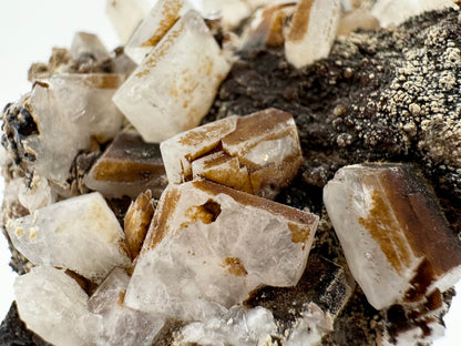 A bunch of square tabular crystals with wispy white inclusions, and a coffee-brown coating on some parts of the crystals. The matrix is dark and bumpy and looks dusted with a light tan mineral. A cluster of scalenohedral calcite crystals is visible between the larger square crystals.