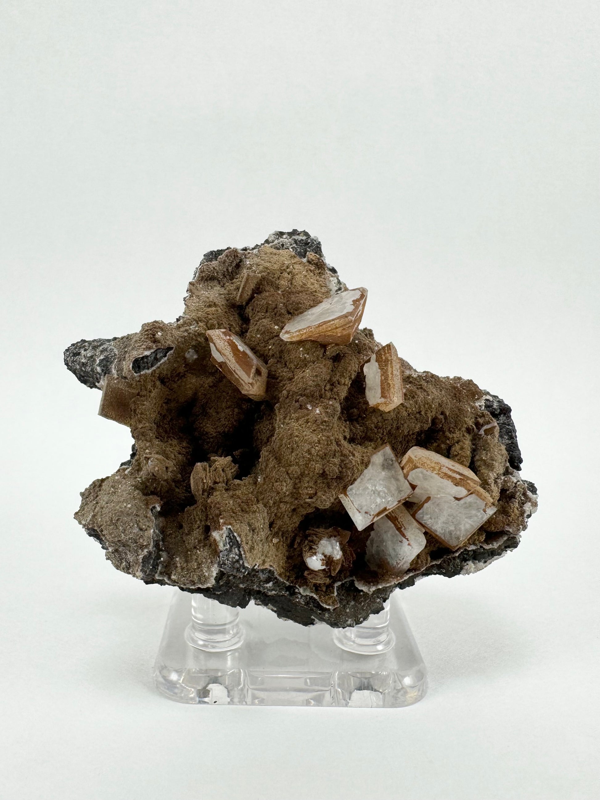 A mineral specimen with several square tabular crystals on an irregularly-shaped matrix with dark cave-like pockets into the surface. It is coated in a matte brown mineral.