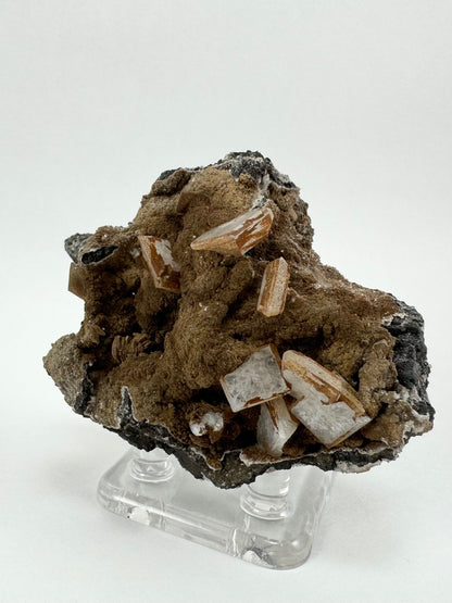 Hydroxyapophyllite