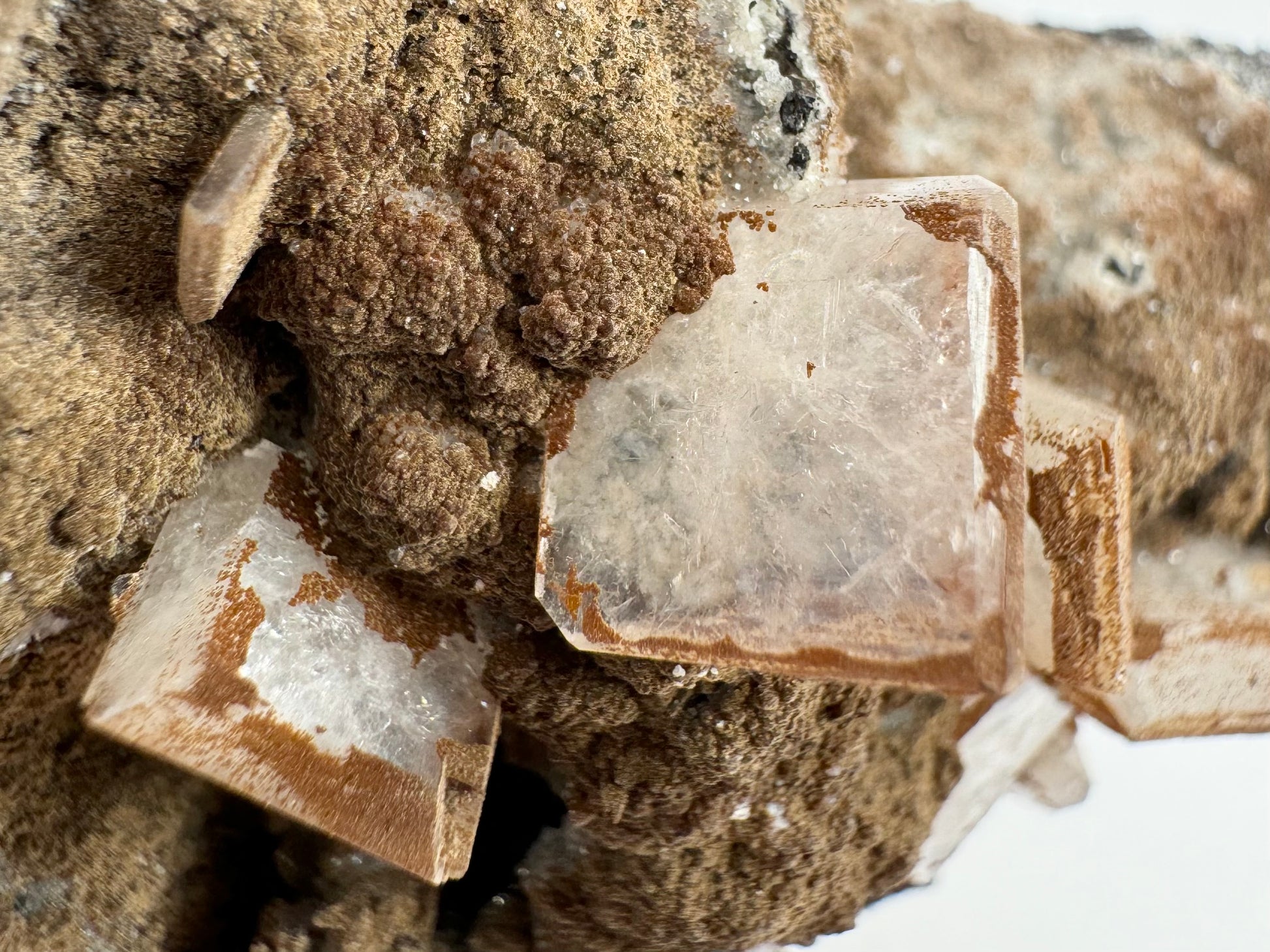 Detail of a tabular crystal white with inclusions spreading out from the center with clarity at the edges. The surface is textured like cauliflower with the brown lizardite coating it.
There is also a small tabular crystal about a quarter the size of the others in the top left.