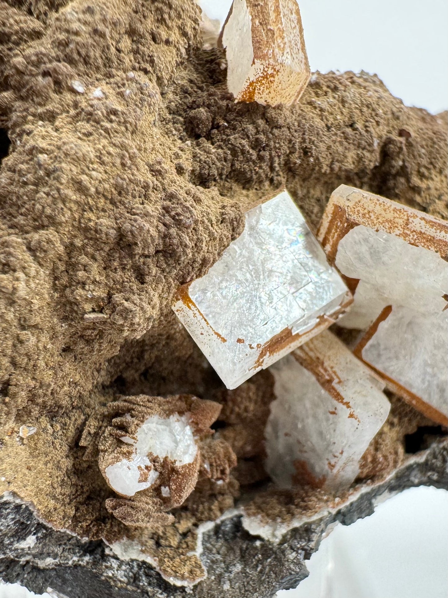 Detail of several of the tabular crystals with the one at the center of the image tilted to reflect light. It has an unusual luster a bit like oil on water in places. Under it is a cluster of scalenohedral calcite crystals with brown lizardite largely covering them.