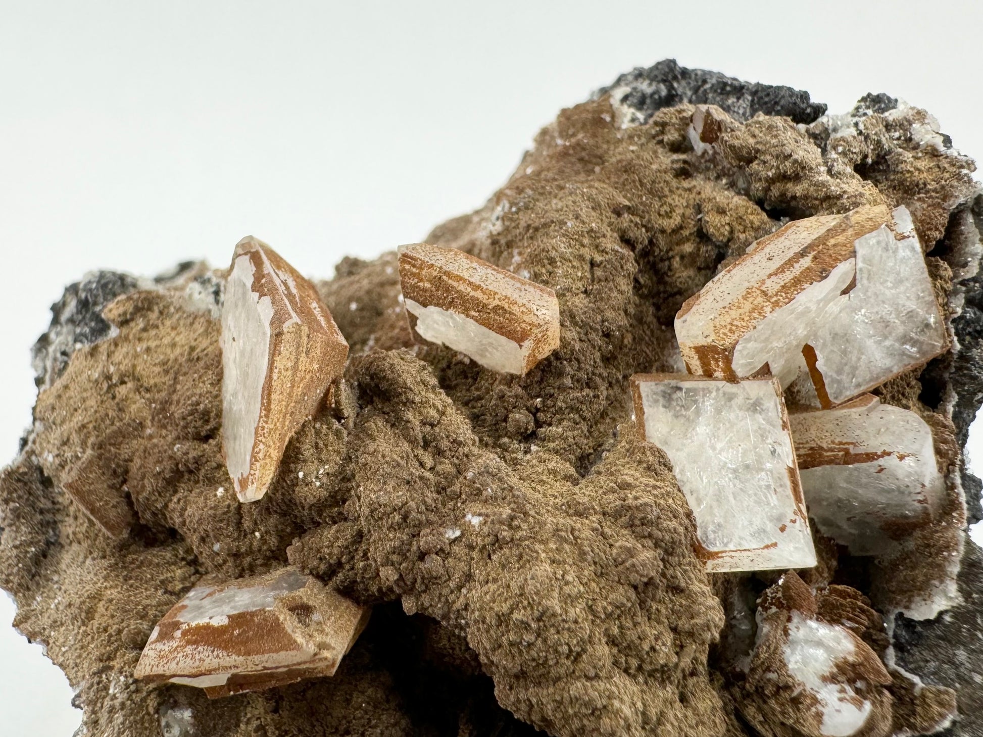 Detail showing several of the tabular crystals. The largest in the far right has an angled edge instead of two symmetric small faces on the edges.