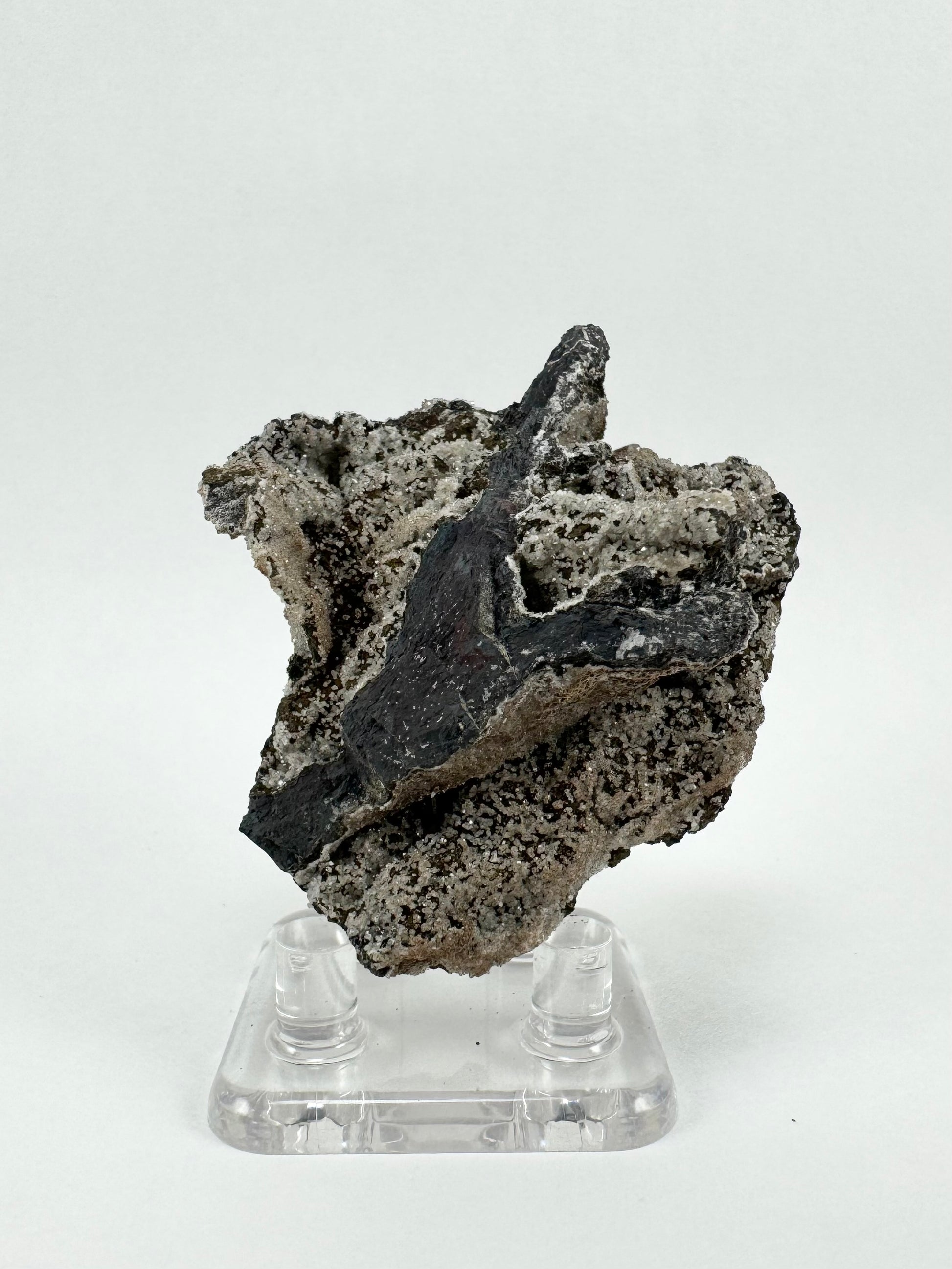 The back of the specimen, with a raised wishbone-shape of exposed near-black matrix. Around it the surface is covered in off-white druzy speckled on the dark surface.