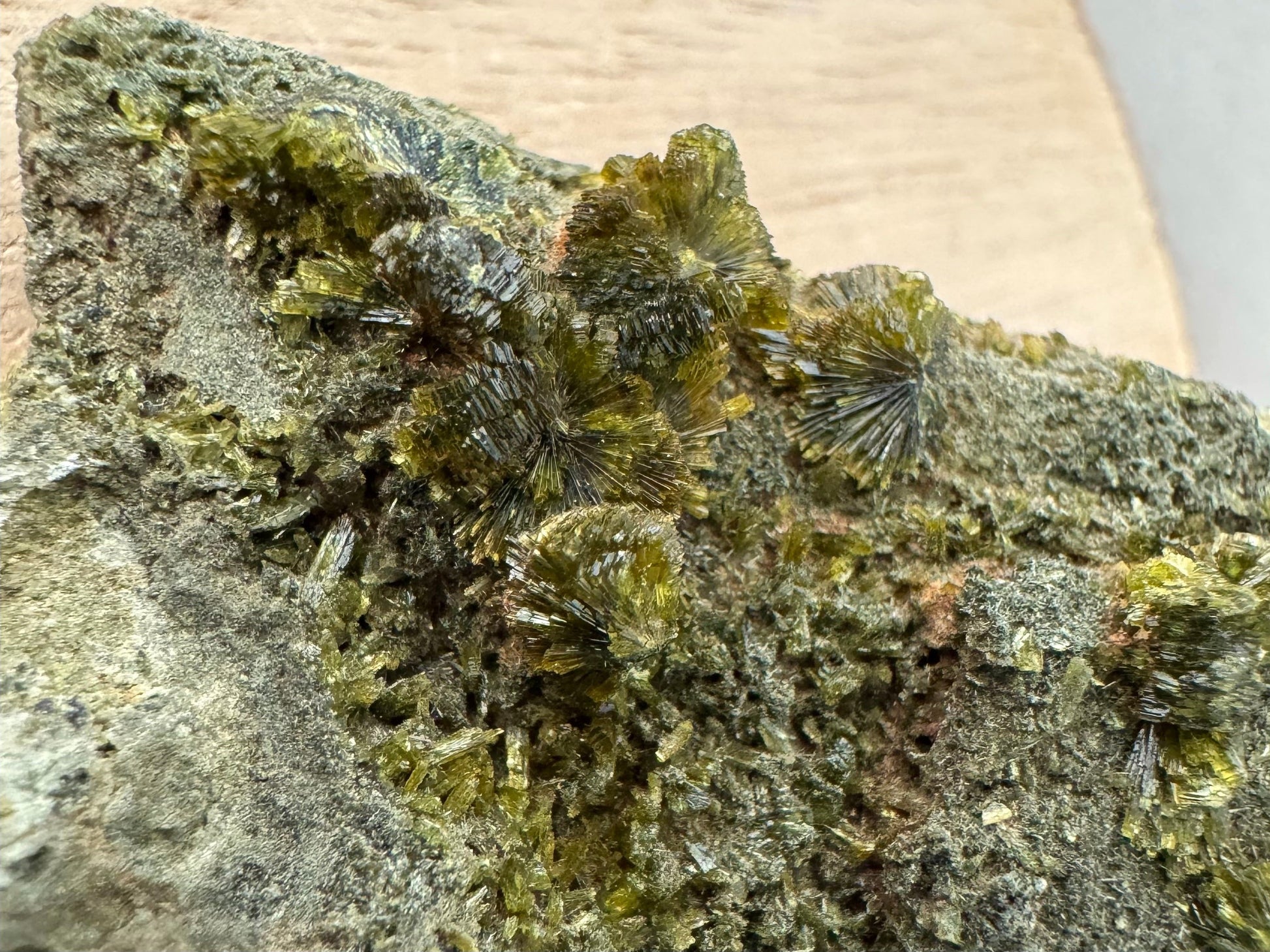 Detail  of several well-formed partial spheres of epidote crystals, some with a stacked pattern down the sides.