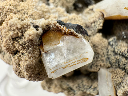 Detail of a square hydroxyapophyllite crystal, semi-translucent milky white with a smaller square form on the surface, and darker brown iron staining.