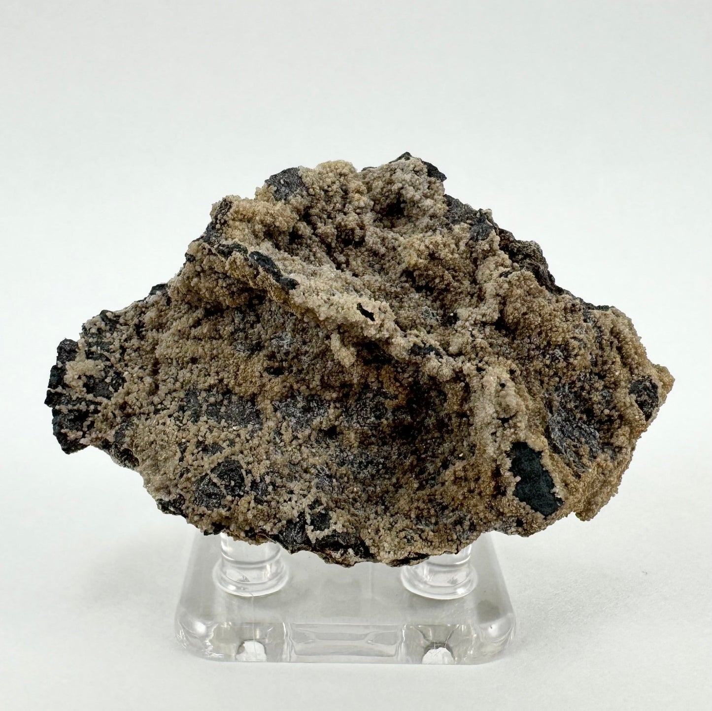 The back of the specimen, with a dark matrix showing through bumpy layer of tan mineral growth.