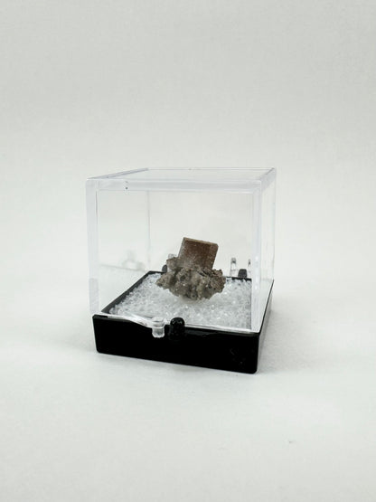 The specimen with the thumbnail box closed