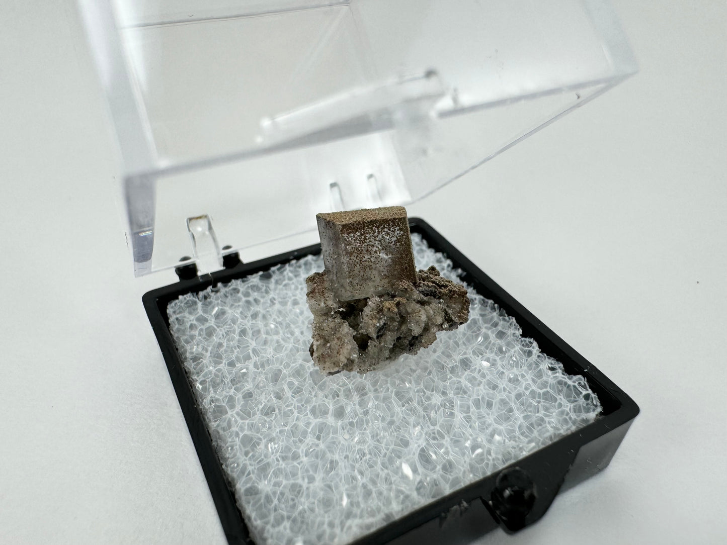 The specimen is on styrofoam in a thumbnail box, black plastic base and clear top tilted open.