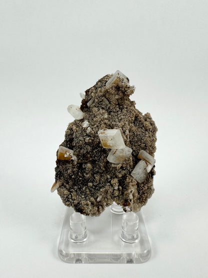 Front view of the specimen, a flat bumpy piece of dark matrix with a dusting of light brown lizardite over it. At the center of the specimen is a pair of intersecting hydroxyapophyllite crystals