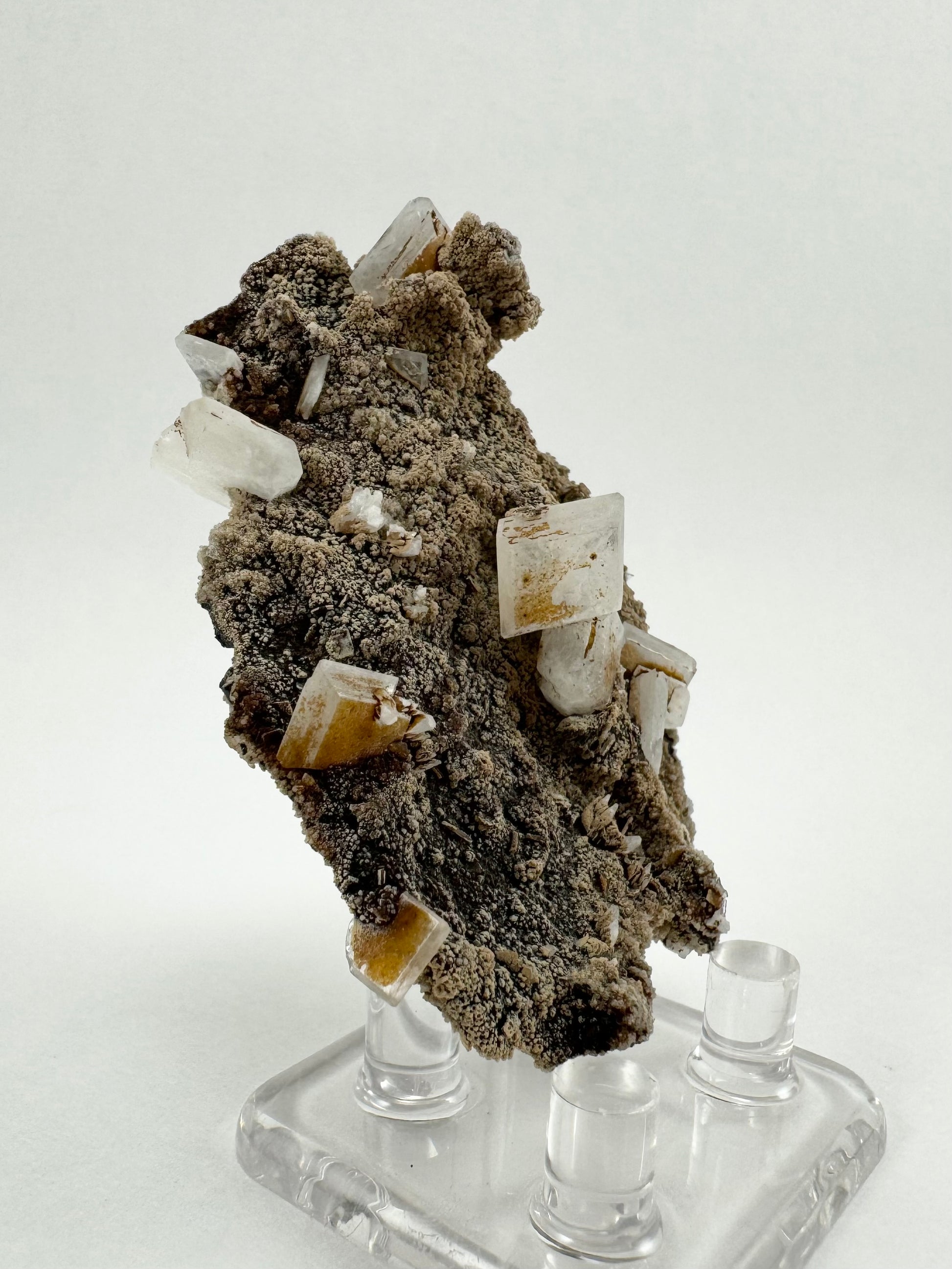 A mineral specimen with about a dozen square tabular crystals on a thin plate of dark matrix and coated with a light brown mineral.