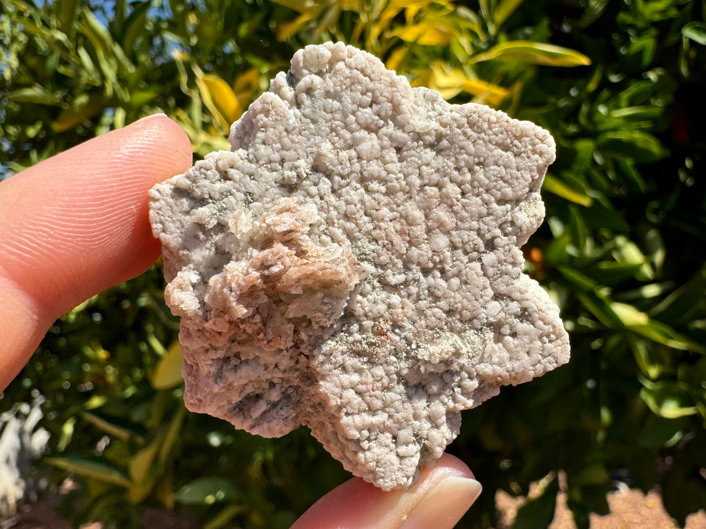 Closer view of the front of the piece, showing the surface texture. It is like cauliflower, as if the mineral is composed of small rounded pieces of aggregate. The irregular cluster on top is composed of flatter layered material.