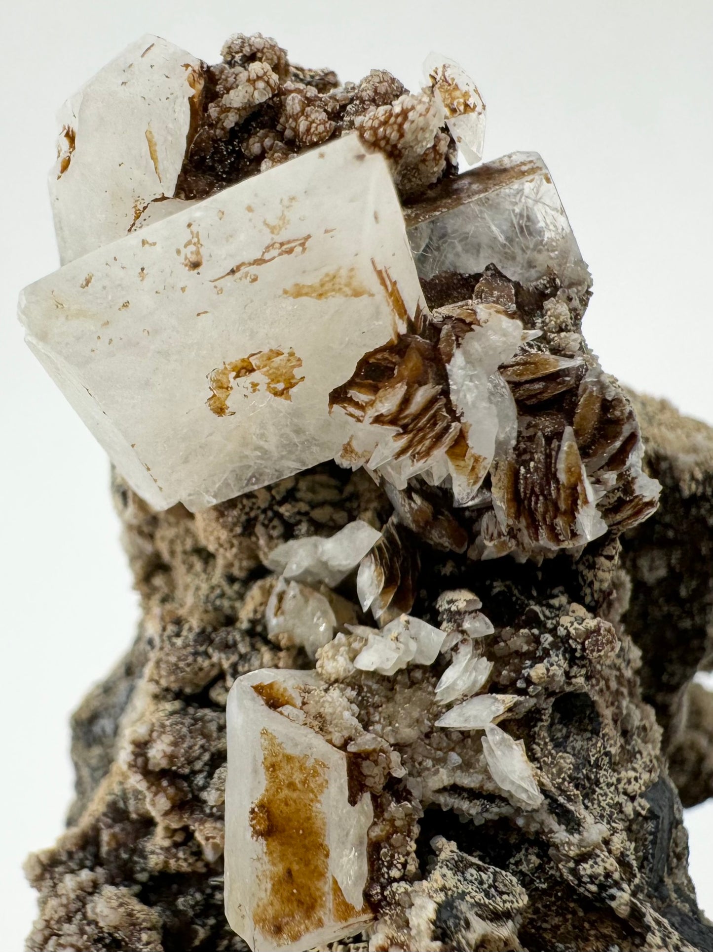 Detail of a large translucent white hydroxyapophyllite crystal with a cluster of white scalenohedral calcite crystals, partially covered in dark brown iron staining.