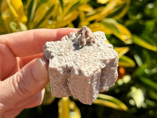 A hexagonal mineral that is opaque, textured, and off-white. The sides aren't straight across but invert slightly in the middle, and it has some growth lines at the points angled toward the center, for a shape like a snowflake. It also has an irregular cluster of mineral on it.