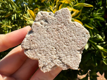 Front view in full sun, detail highlighting the surface texture like is cauliflower, as if the mineral is composed of small rounded pieces of aggregate.