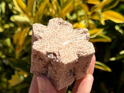 A hexagonal mineral, opaque, textured, and light tan colored. The sides aren't straight across but invert slightly in the middle, with triangular cut-outs down each side. It has some growth lines at the points angled toward the center, creating a pattern like a snowflake. The piece angled into the sun.