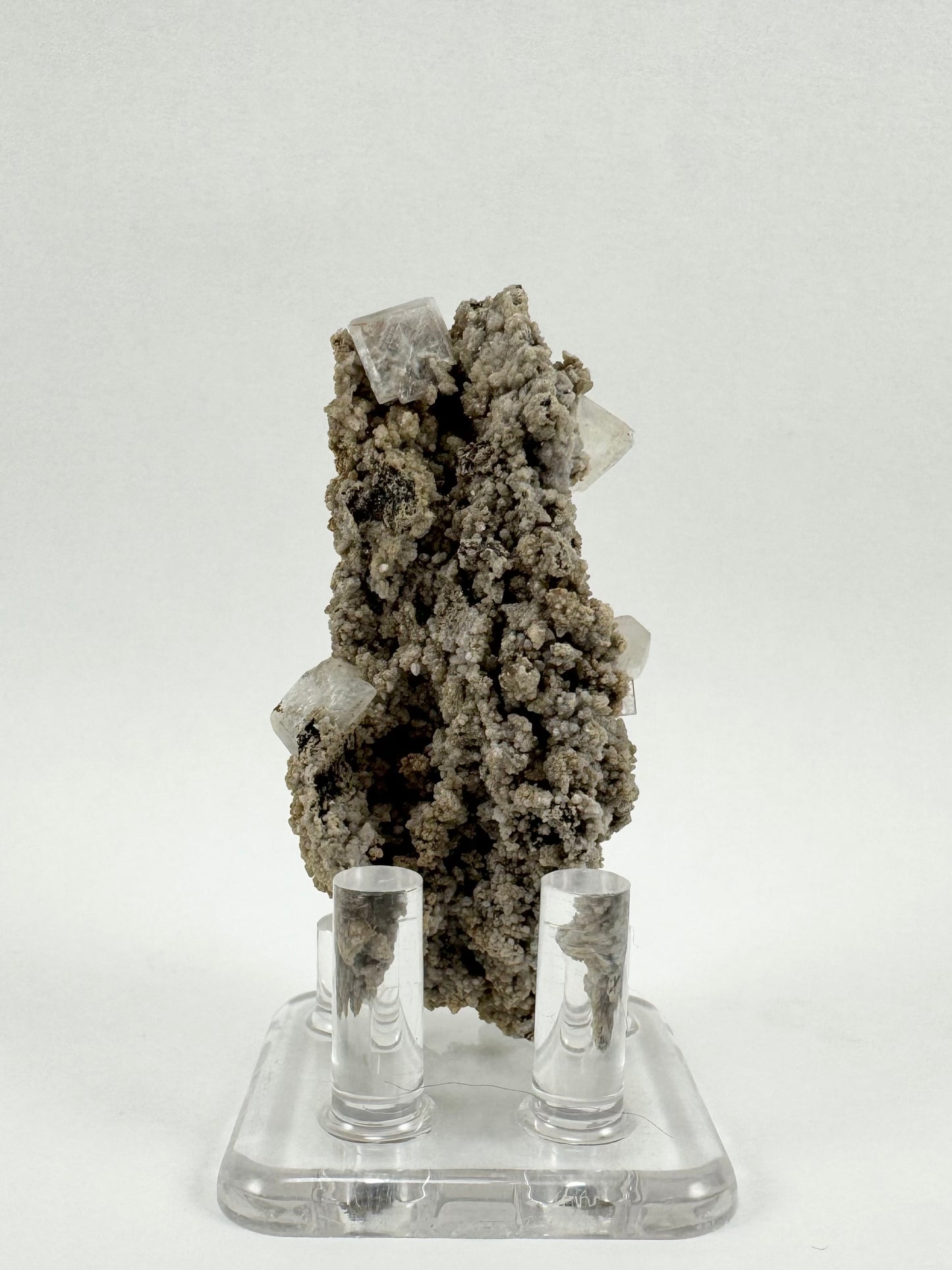 The back of the specimen, covered with rough calcite druzy with some dark matrix showing through. There is a hydroxyapophyllite crystal with good translucency near the top.