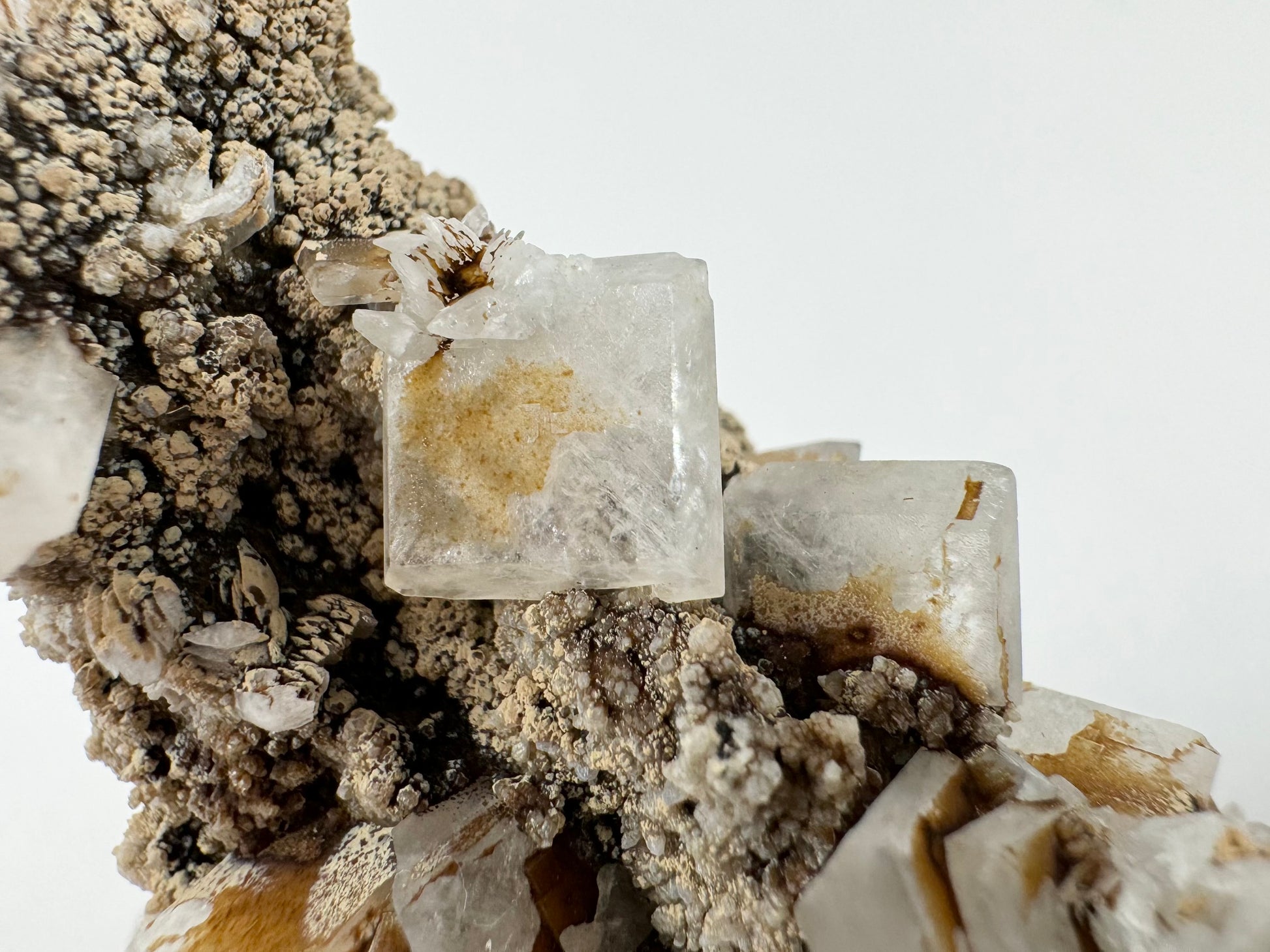 Detail of a translucent white hydroxyapophyllite crystal with inclusions radiating out from the center. There are several more of the tabular crystals. On the upper corner and below the main crystal are stacked scalenohedral calcite crystals.