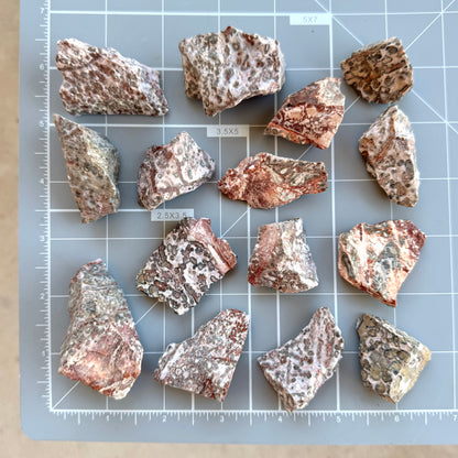 Scale image showing a dozen of the small chunks of leopardskin jasper rough scattered on a measuring mat, showing most pieces are larger than an inch square, with some larger than two inches square.