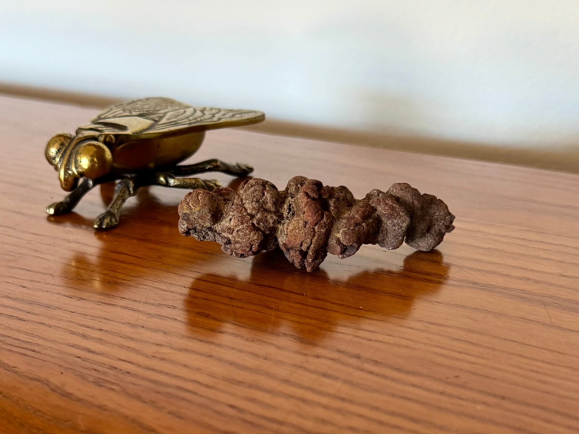 A well-formed lumpy medium coprolite on a wood shelf, with a gold fly figurine in the background